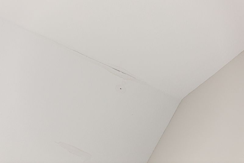 Ceiling Damage Indicators